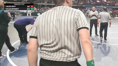 D 1 138 lbs Quarterfinal - Dylan Eppinett, Dutchtown vs Jacob Britt, Destrehan