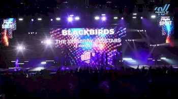 The Stingray Allstars - Blackbirds [2024 L3 Junior - Small Day 1] 2024 WSF Grand Nationals