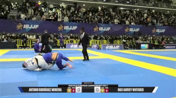 Max Harvey Whitaker vs Antonio Rodríguez Moreira 2026 European Jiu-Jitsu IBJJF Championship