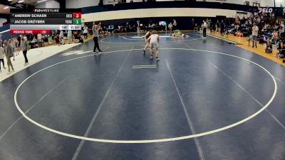 141 lbs Champ. Round 1 - Jacob Grzybek, York (pa) vs Andrew Schaen, Ursinus