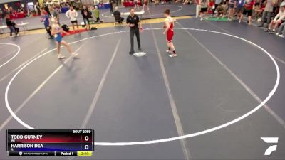 126 lbs Champ. Round 2 - Todd Gurney, WI vs Harrison Dea, IL