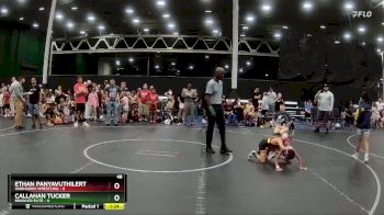 48 lbs Round 7 (8 Team) - Ethan Panyavuthilert, Warhawks Wrestling vs Callahan Tucker, Brawler Elite