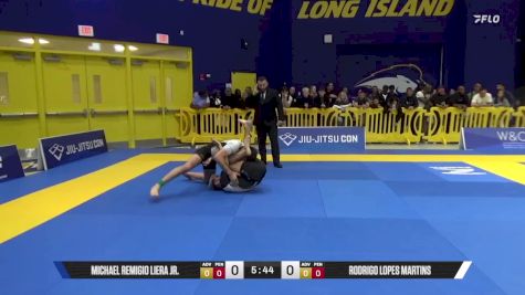 Rodrigo Lopes Martins vs Michael Remigio Liera Jr. 2025 Pan IBJJF Jiu-Jitsu No-Gi Championship