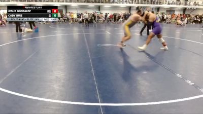 Elite 285 lbs Cons. Round 4 - Cody Ruiz, Quincy vs Jesus Gonzalez, Minnesota State
