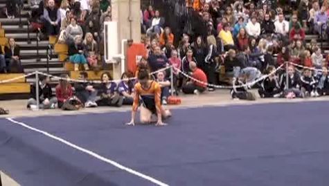 Illinois (Alina Weinstein) - exhibition