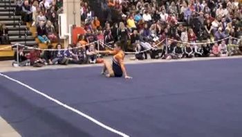 Illinois (Sarah Schmidt) - 9.65