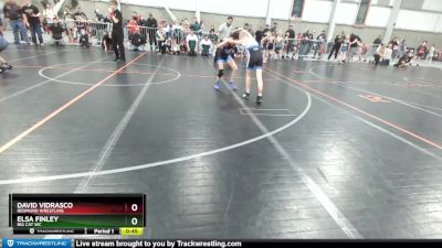 82-83 lbs Round 2 - Elsa Finley, Big Cat WC vs David Vidrasco, Redmond Wrestling