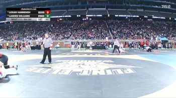 D1-190 lbs Cons. Round 1 - Landen Williams, Wyandotte Roosevelt vs Logan Hammingh, Rockford HS