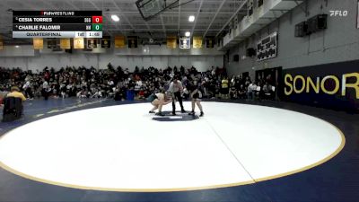 190 lbs Quarterfinal - Cesia Torres, Santiago/GG vs Charlie Falomir, Newport Harbor