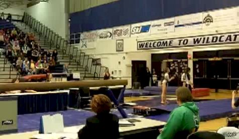 Brown (Carli Wiesenfeld)