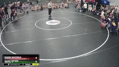 50 lbs Placement (4 Team) - Banks Meyers, Ninety Six vs Mason Whitfield, Palmetto State Wrestling Academy