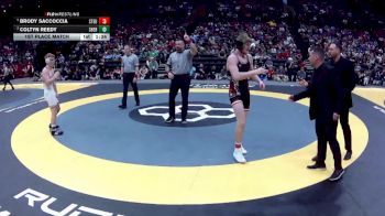 D2-157 lbs 1st Place Match - Brody Saccoccia, Steubenville vs Coltyn Reedy, Sheridan