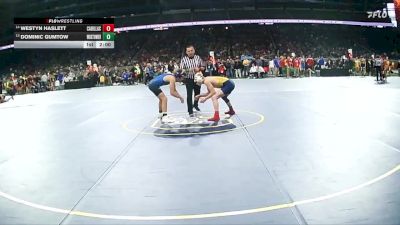 D2-138 lbs Champ. Round 1 - Dominic Gumtow, Warren Woods-Tower HS vs Westyn Haslett, Cadillac HS