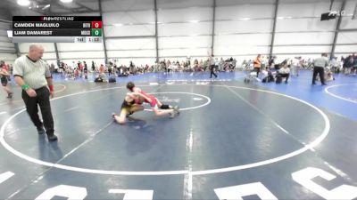 92 lbs Round 4 (1:30pm Friday) - Liam Damarest, Maryland Gold vs Camden Magluilo, Bitetto Trained