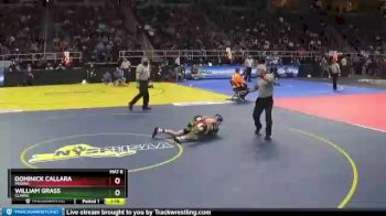 II-102 lbs Champ. Round 2 - Dominick Callara, Medina vs William Grass, Clarke