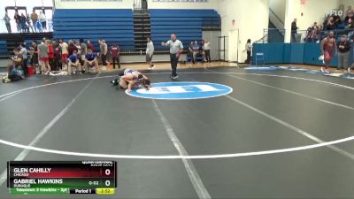 125 lbs Quarterfinal - Gabriel Hawkins, Dubuque vs Glen Cahilly, Chicago