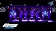 Dance Mania Nashville - Tiny Jazz [2024 Tiny - Jazz Day 1] 2024 WSF Grand Nationals