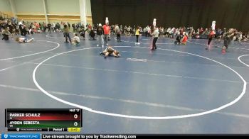 63 lbs Champ. Round 1 - Parker Schulz, IA vs Ayden Sebesta, WI