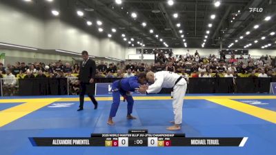 Michael Teruel vs Alexandre Pimentel 2025 World Master IBJJF Jiu-Jitsu Championship