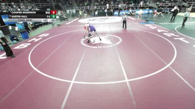 II-157 lbs Cons. Semi - Austin Hall, Canisteo-Greenwood vs Cooper Robinson, Waverly