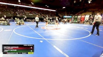 135 Class 1 lbs Cons. Round 2 - Trinity Butler, Festus vs Payton Hammack, St. Charles West