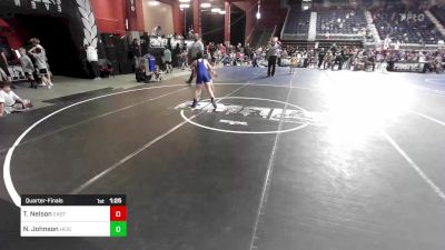 100 lbs Quarterfinal - Teegan Nelson, Eastside United vs Noah Johnson, Heights Wrestling Club MT