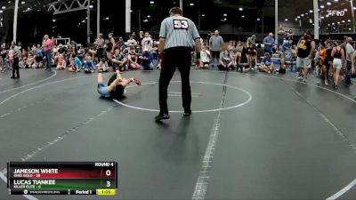 80 lbs Semis (4 Team) - Lucas Tiankee, Killer Elite vs Jameson White, Ohio Gold