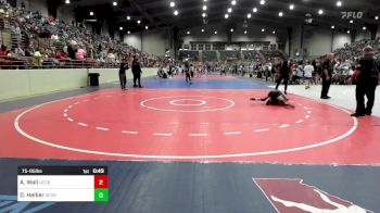 75-85 lbs Final - Andrew Wall, Georgia vs Daniel Hellier, Georgia