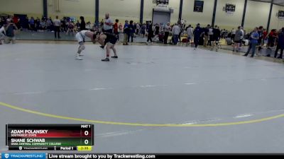 133 lbs Cons. Round 2 - Shane Schwab, Iowa Central Community College vs Adam Polansky, Southwest State