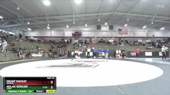 165 lbs Quarterfinal - Grant MacKay, Gannon vs Nolan Gessler, Tiffin