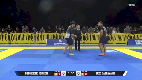Diego Dias Ramalho vs Igor Gregório Schneider 2025 Pan IBJJF Jiu-Jitsu No-Gi Championship