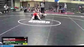 132 lbs Semis & 1st Wrestleback (8 Team) - Sebastian Castin, Apple Valley vs Kannon Webster, Washington