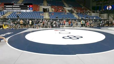 126 lbs Cons. Sub-rd Of 32 - Andrew DiPiazza, Wisconsin vs Dominic Pasquale, Illinois