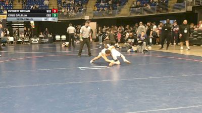 67 lbs Semifinal - Everett Brown, Wissahickon vs Cole Galella, Crestwood
