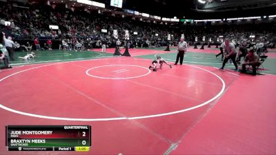 50 lbs Quarterfinal - Braxtyn Meeks, Unattached vs Jude Montgomery, PAW3