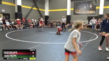 146 lbs Round 2 (4 Team) - Kylie Williams, Badger Girls Elite vs Aliah Fischer, Minnesota Storm