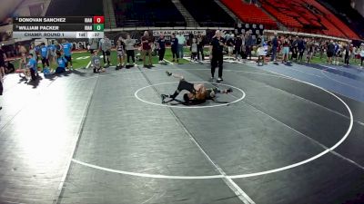 65 lbs Champ. Round 1 - Donovan Sanchez, Idaho vs William Packer, Idaho