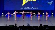 Arte Radical Dance Academy [2025 Mini - Jazz - Small Day 2] 2025 UCA & UDA All Star National Championship