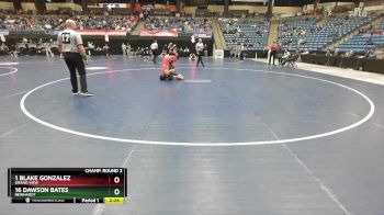 149 lbs Champ. Round 2 - 1 Blake Gonzalez, Grand View vs 16 Dawson Bates, Reinhardt