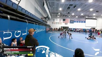 60-65 lbs Round 3 - Audrina Summers, Touch Of Gold WC vs Brooklynn Budd, Douglas WC