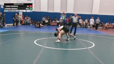 138 lbs Champ. Round 3 - Camden Murray, Woodgrove vs Aiden Herndon, Cedar Cliff
