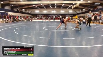 133 lbs Quarterfinal - Jaden Colwell, Springfield College vs Sean Rinebolt, Shenandoah