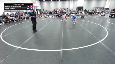 138 lbs Mason DesRochers, Washington vs Bodie Abbey, Michigan Blue