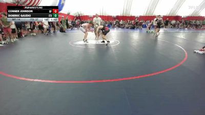 175 lbs Semis & Wb (16 Team) - Conner Johnson, Weyauwega-Fremont vs Dominic Gaudio, Illinois Top Dawgs