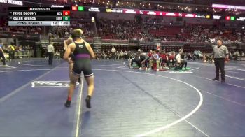 1A-175 lbs Cons. Round 2 - Kaleb Nelson, Underwood vs Tryce Dlouhy, West Central Valley