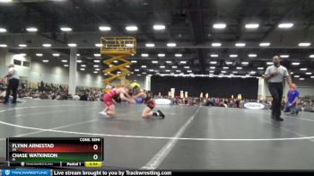 83 lbs Cons. Semi - Chase Watkinson, IA vs Flynn Arnestad, VA