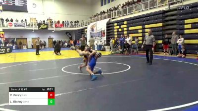 94 lbs Consi Of 16 #2 - Caleb Perry, Olentangy vs Lane Richey, Connellsville