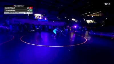 113 lbs Quarterfinal - Blake Pulver, South Summit Wrestling Club vs Teagan Griffiths, Canyon View Falcons