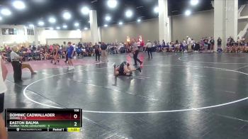 106 lbs Round 3 (6 Team) - Easton Balma, Florida Young Gunslingers vs Dominic Cadwallader, Division-1