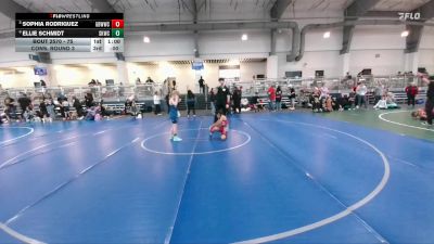 75 lbs Cons. Round 3 - Sophia Rodriguez, Gracie Barra Westchase Wrestling Club vs Ellie Schmidt, Spring Klein Wrestling Club